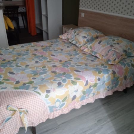 Hotel Sainte Therese Lourdes Dış mekan fotoğraf
