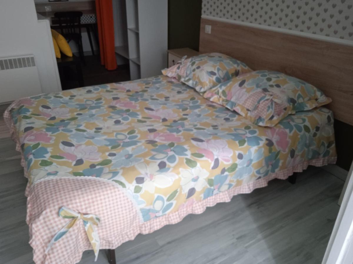 Hotel Sainte Therese Lourdes Dış mekan fotoğraf